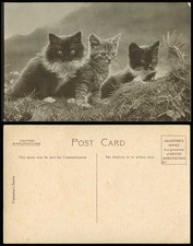 3 Cats Little Kittens Cat Kitten Pets Pet Animal Old Postcard Valentine's Series