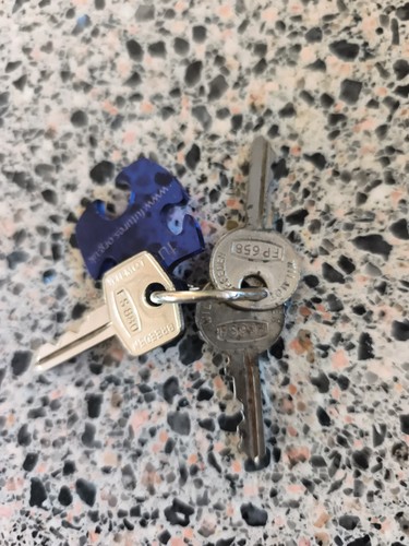 Union car keys fs880 - union, fs880,