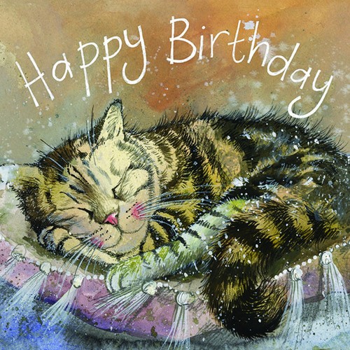 Alex clark cat - clark,, blank