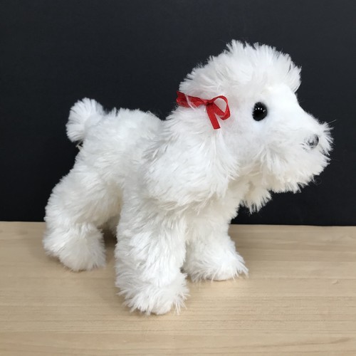 Douglas white poodle dog soft - dog,