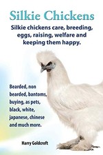 Silkie Chickens Care