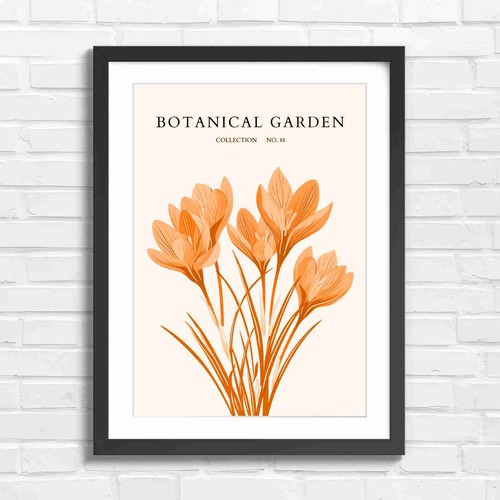 Elegant purple crocus - elegant,