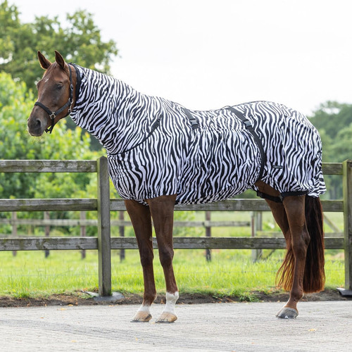 Horse fly sheet sweet itch - sweet,