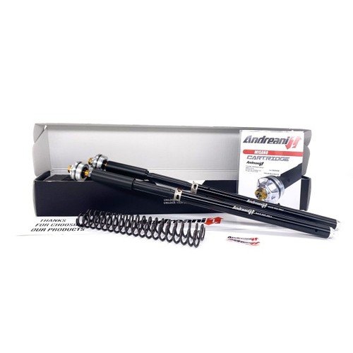 Andreani fork cartridge kit - andreani,