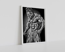 KAI GREEN POSTER BODYBUILDING