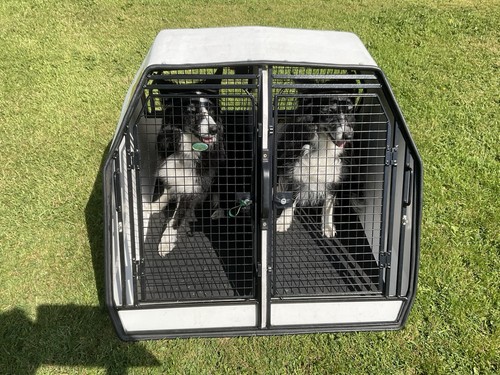Lintran 2006 dog transit - 2006,