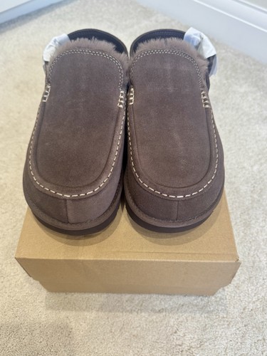 Ugg evelina golden star - ugg,