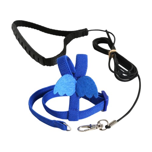 Bird harness and - harness, leash