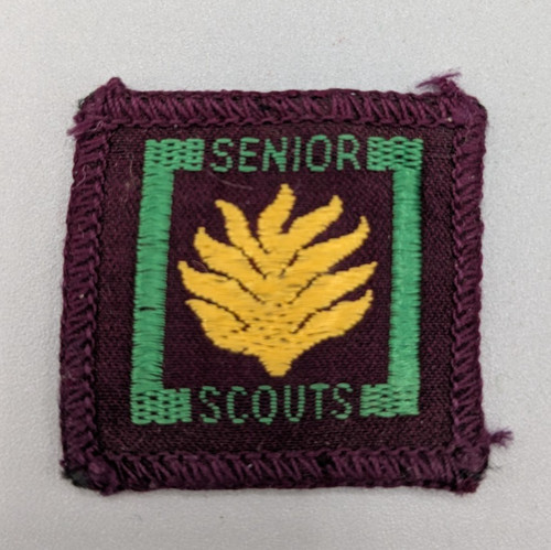 1960s senior scouts fireman - senior,