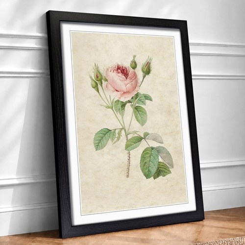 Pink rose flowers vintage - pink,