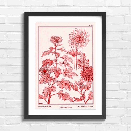 Vintage chrysanthemum - vintage,