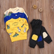 Dinosaur Baby Boys Newborn Sweatshirt Tops Pants Tracksuit Outfit Set Clothes