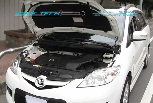 Carbon fiber strut - strut, damper