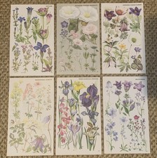 6x Vintage 1974 Botanical Book