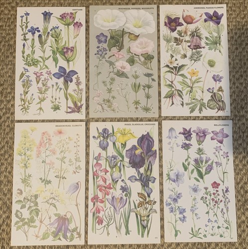 Vintage 1974 botanical book - vintage,