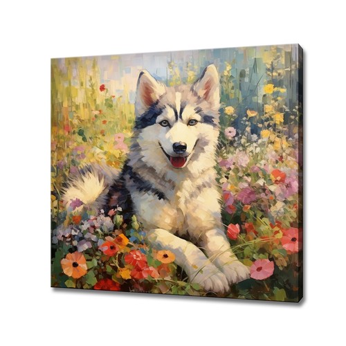 Husky dog puppy colourful - dog,
