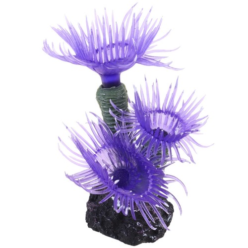 Aquarium accessories coral - aquarium,