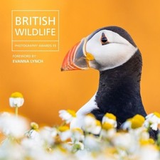 British Wildlife Photography