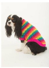 DOG COAT NUMBER 23 CHUNKY RAINBOW SWEATER JUMPER KNITTING PATTERN SMALL & MEDIUM