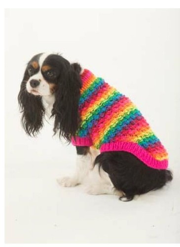 Dog coat number chunky - number, 23