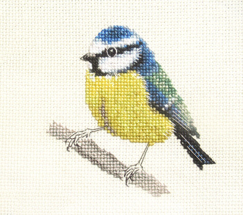 Blue tit garden - garden, full