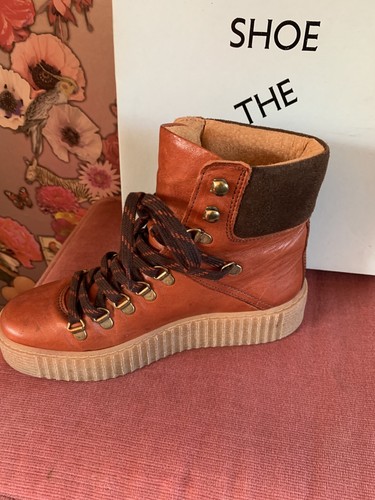 Shoe the bear agda - bear, boot