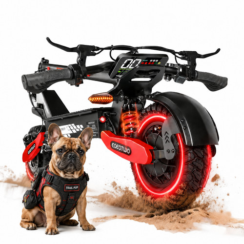 Off road electric scooter - 11", off-road