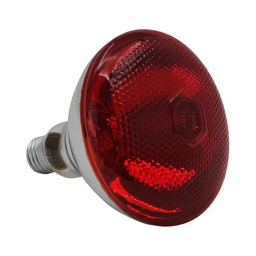 Infrared heat lamp - heat,
