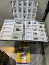 Bugs & Insects Real Life