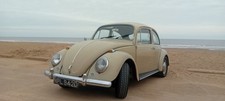 1967 vw beetle