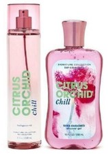 Bath & Body Works 2pc Citrus