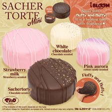 iBloom Squishy Sachertorte