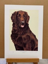 Nigel Hemming - Liver Flat Coasted Retriever (Print Only) - In Stock