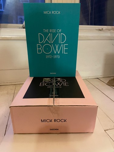 The rise david bowie book - bowie,