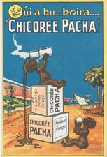 2 - Chicoree Pacha/Pacha