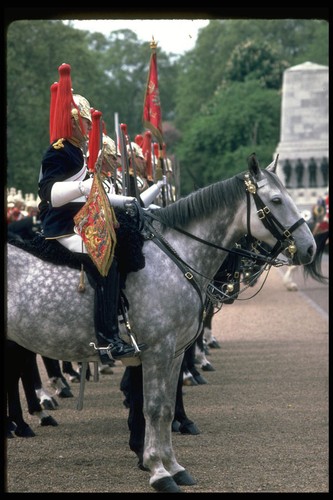 536031 blues and royals - and,