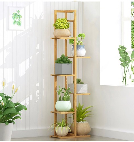 Elegant tier plant - 5/6,