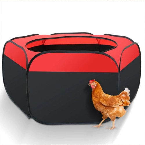 Protable chicken brooder box - chicken,