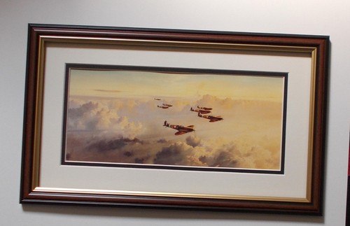 Aircraft print baders - -,