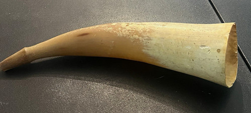 Natural cow horn powder - cow,