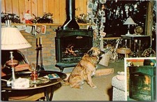 Milwaukee, Wisconsin Ad Postcard STERNKOPF'S FIREPLACE FITTINGS "Franklin Stove"