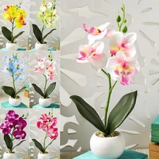 Artificial Butterfly Orchid