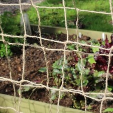 Jute Garden Pea and Bean