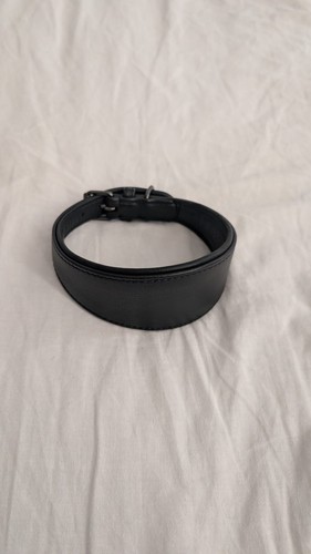 Luxury black leather - luxury, whippet