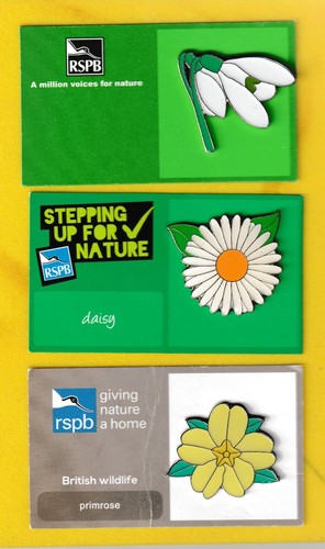 Rspb pin badge three wild - rspb,