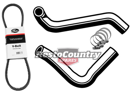 Ford service kit - alt, belt