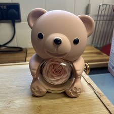 Rose teddy bear jewellery box - rose,
