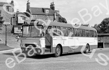 Bus Negative & Copyright