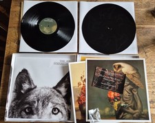 Wolf's Law by The Joy