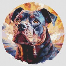 American Bully Puppy Dog